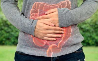 Intestinal Permeability AKA Leaky Gut